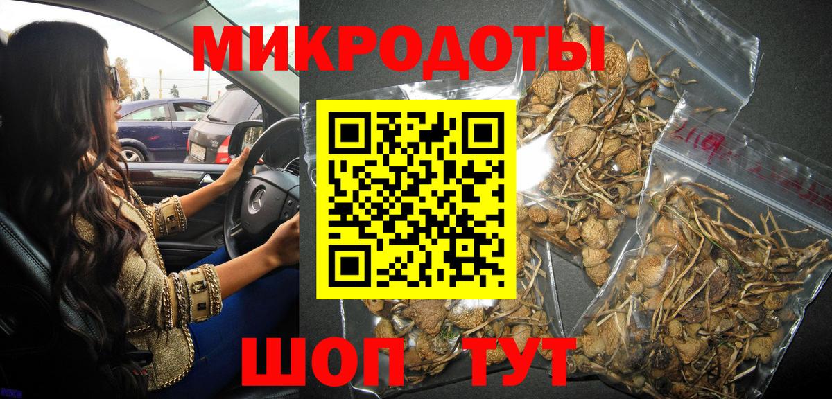 Галлюциногенные грибы GOLDEN TEACHER  Псилоцибиновые грибы GOLDEN TEACHER  купить закладку  Вход с VPN  Луга 