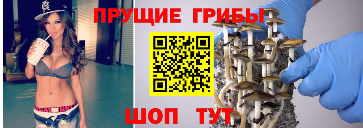 Галлюциногенные грибы GOLDEN TEACHER Луга